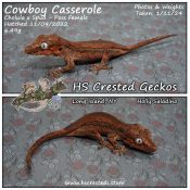 Cowboy Casserole – Cholula x Spud