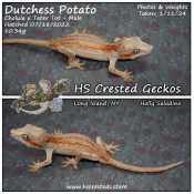 Dutchess Potato – Cholula x Tater Tot
