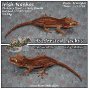 Irish Nachos – Cholula x Spud