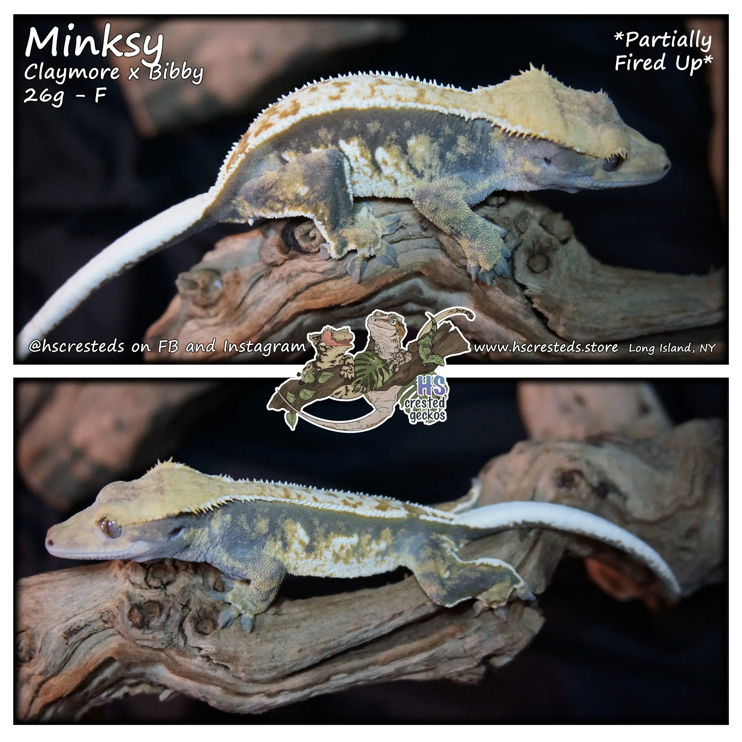 Minksy – Claymore x Bibby