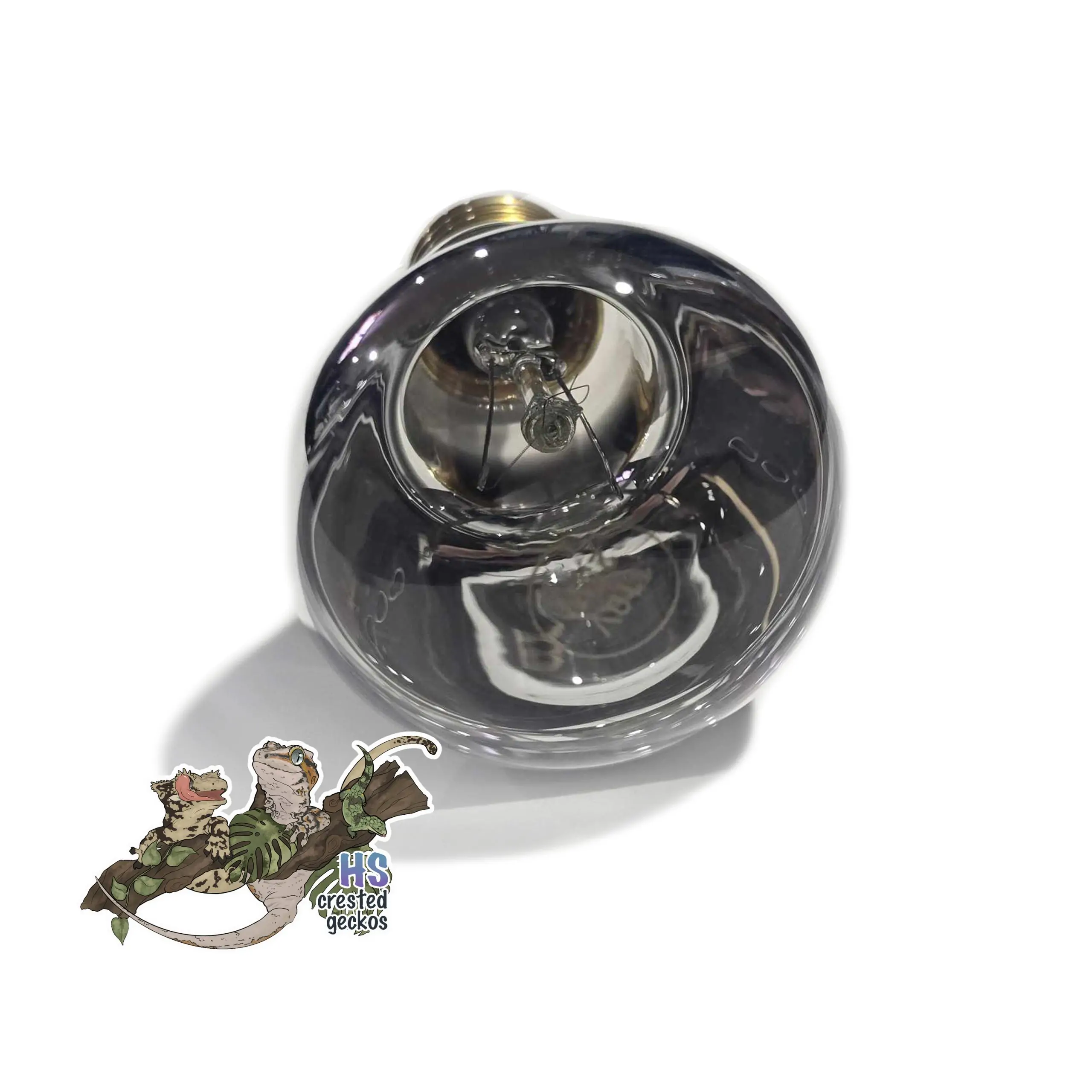 25W Basking Bulb - Image 3