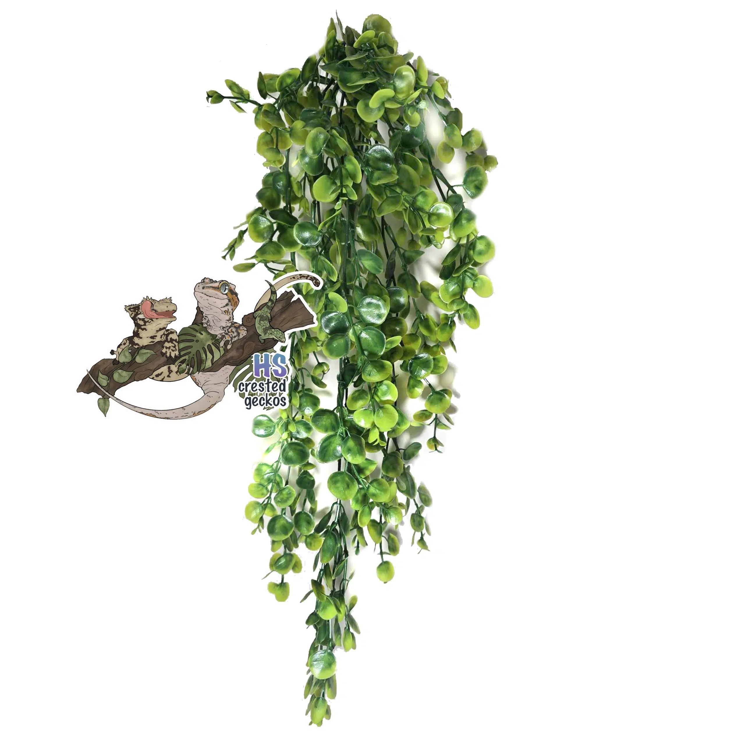 Pretty Plant - Medium Green Eucalyptus