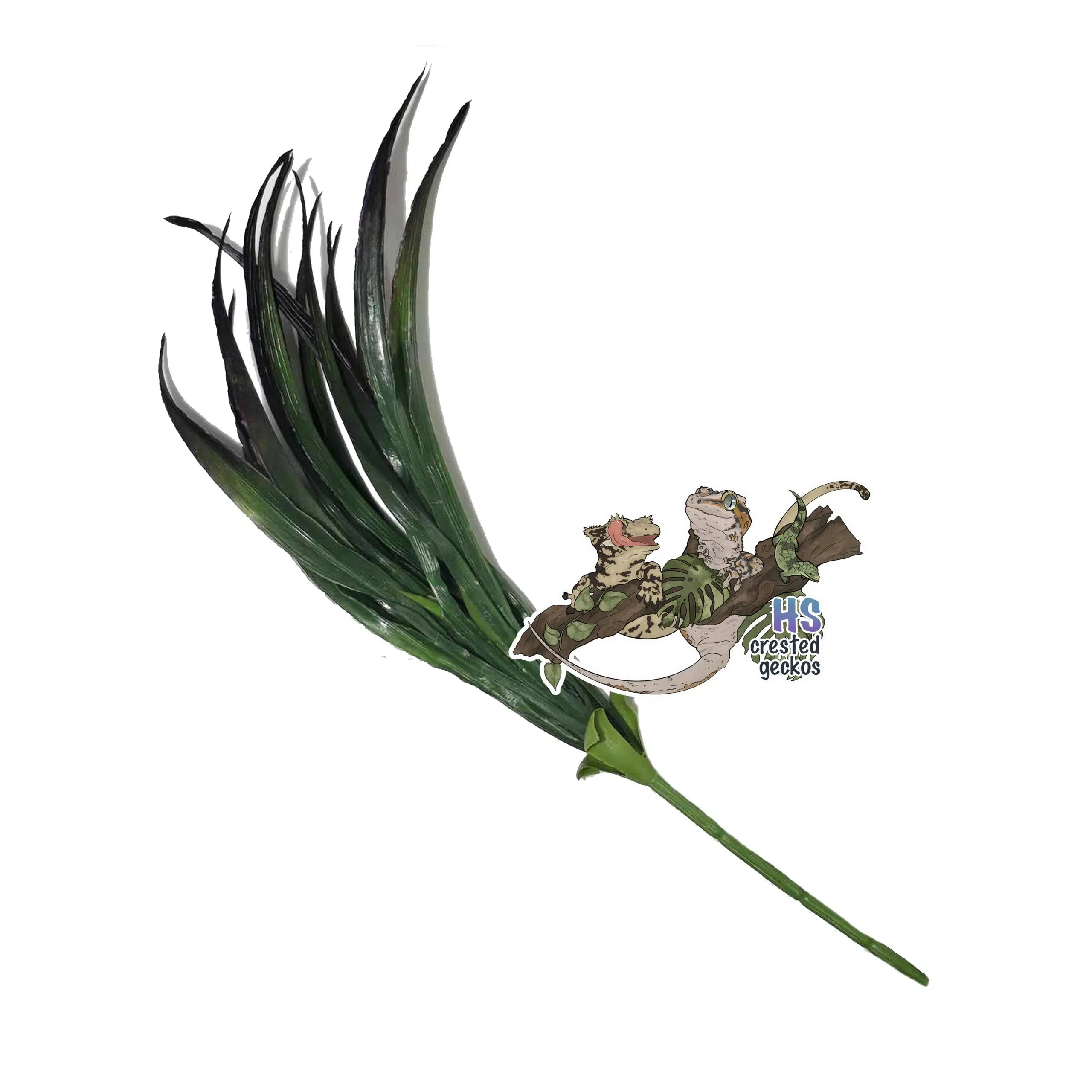 Pretty Plant - Small Palm - Dark Purple