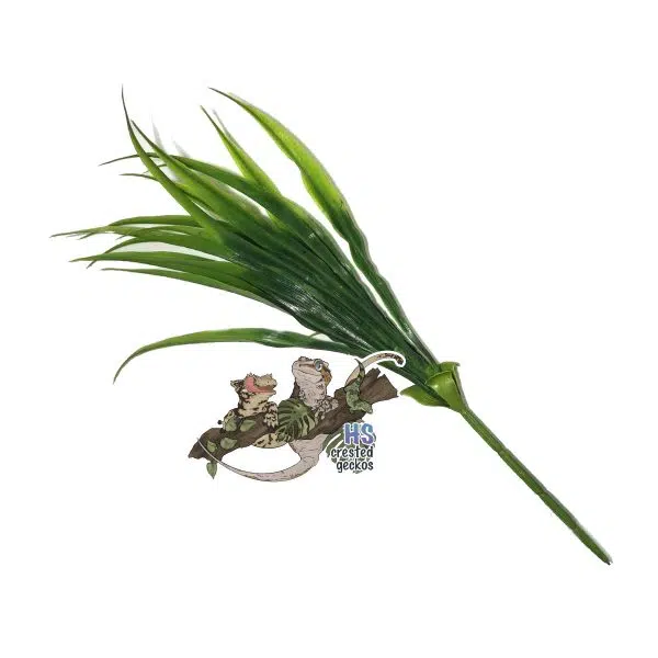 Pretty Plant - Small Palm - Green