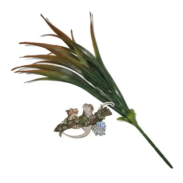 Pretty Plant - Small Palm - Orange