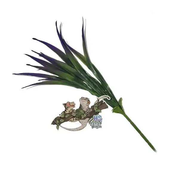Pretty Plant - Small Palm - Purple