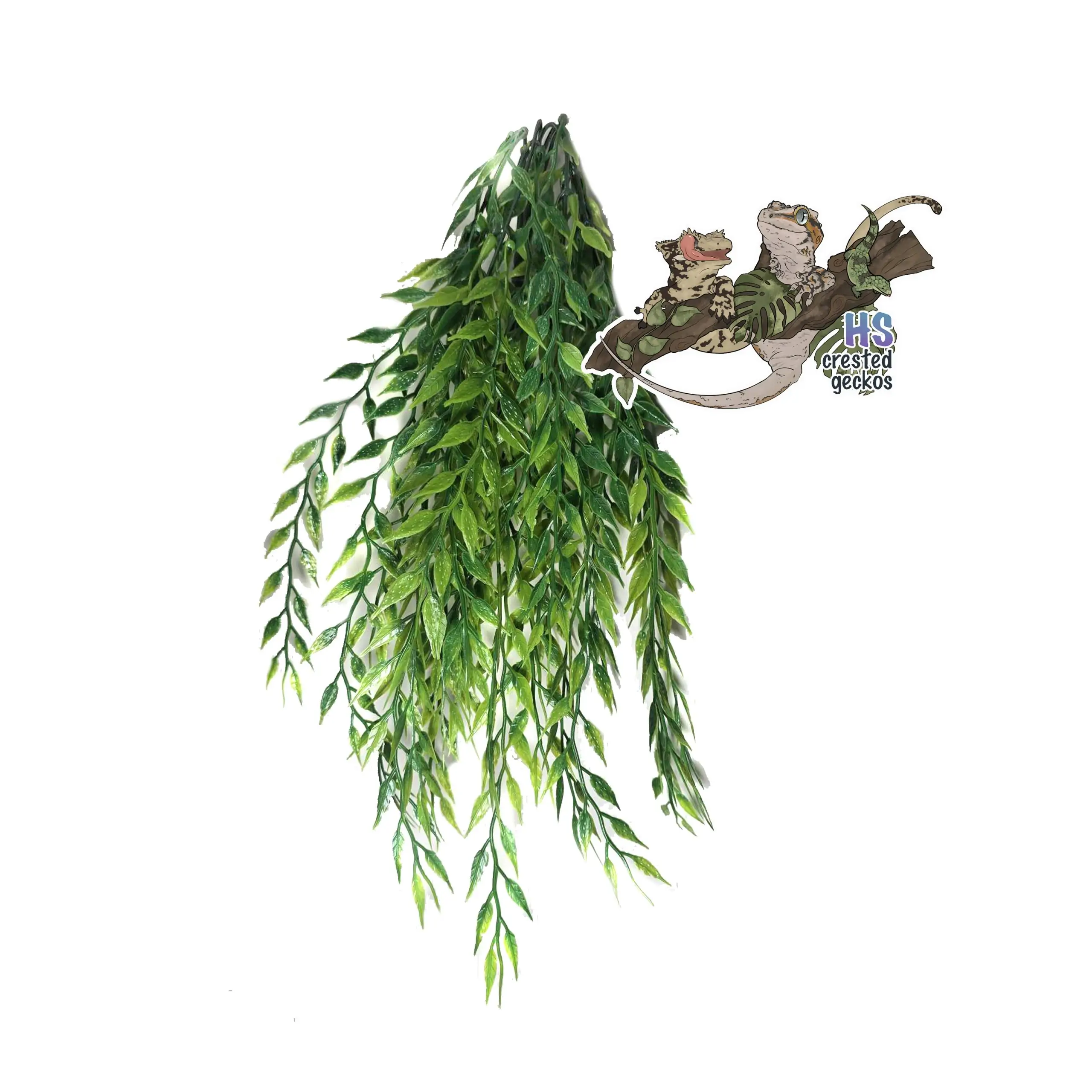 Pretty Plant - Medium Green Willow Branches