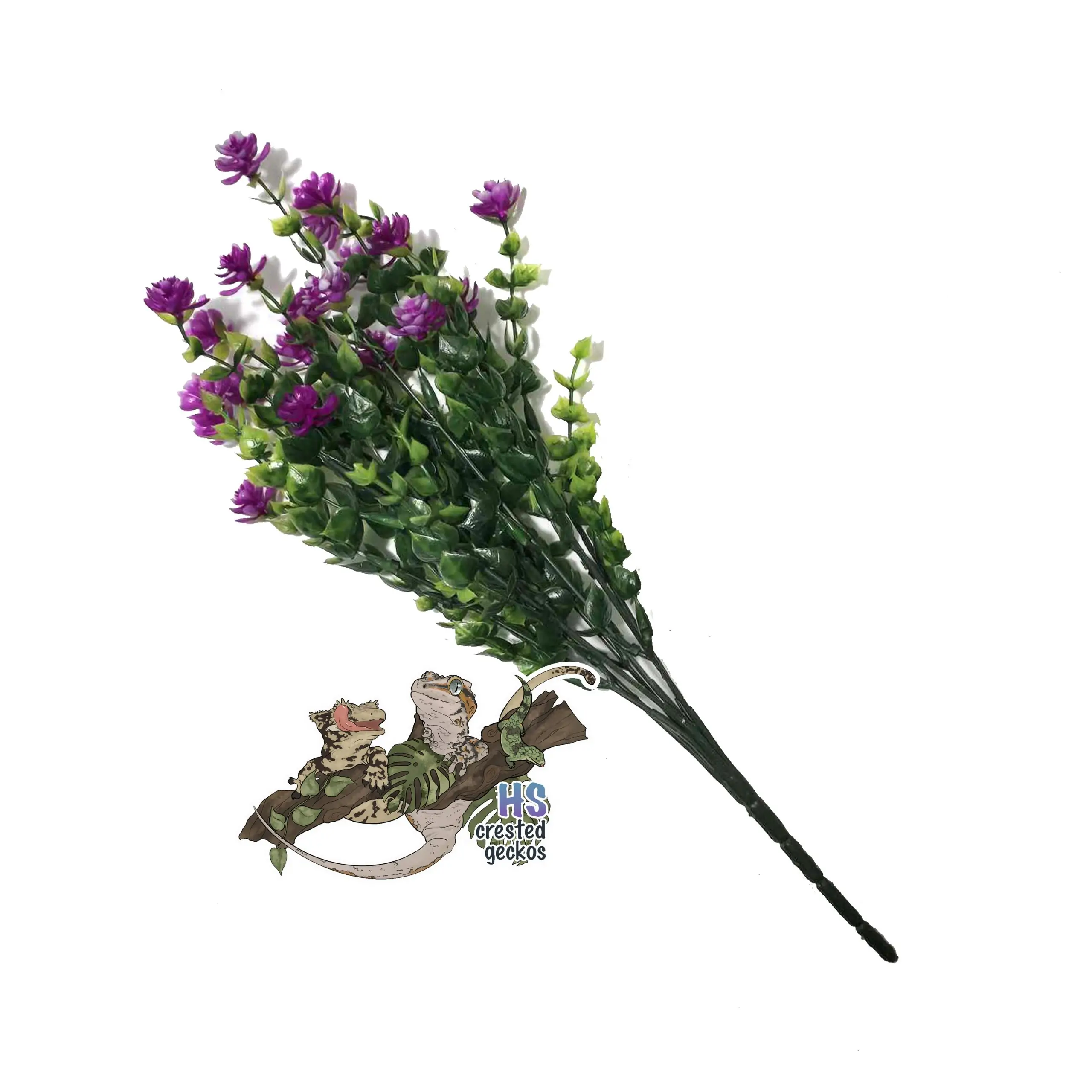 Pretty Plant - Small Eucalyptus - Bright Purple