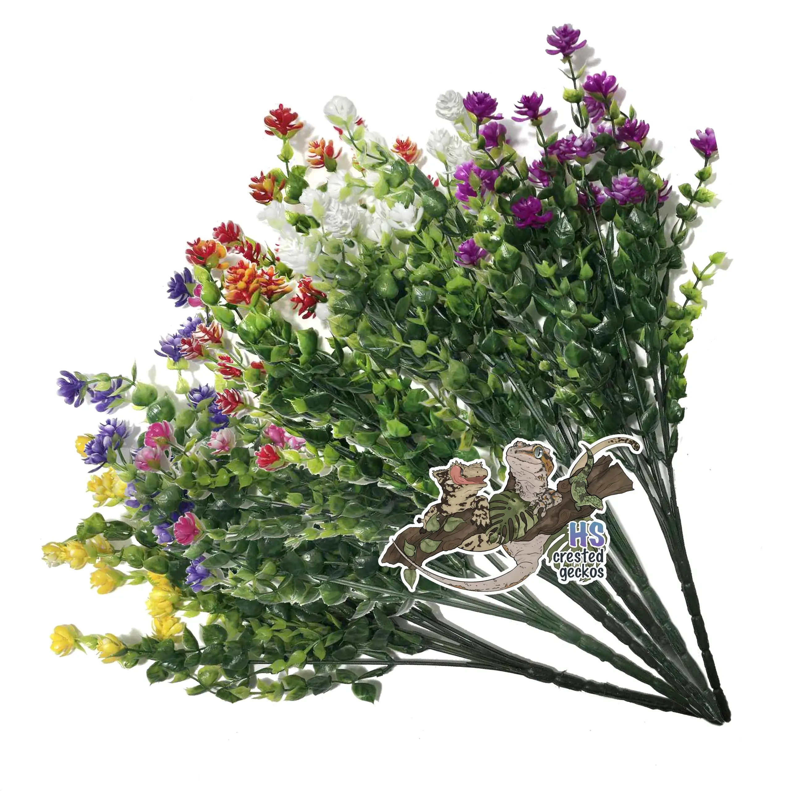 Pretty Plant - Small Eucalyptus "Plant the Rainbow"