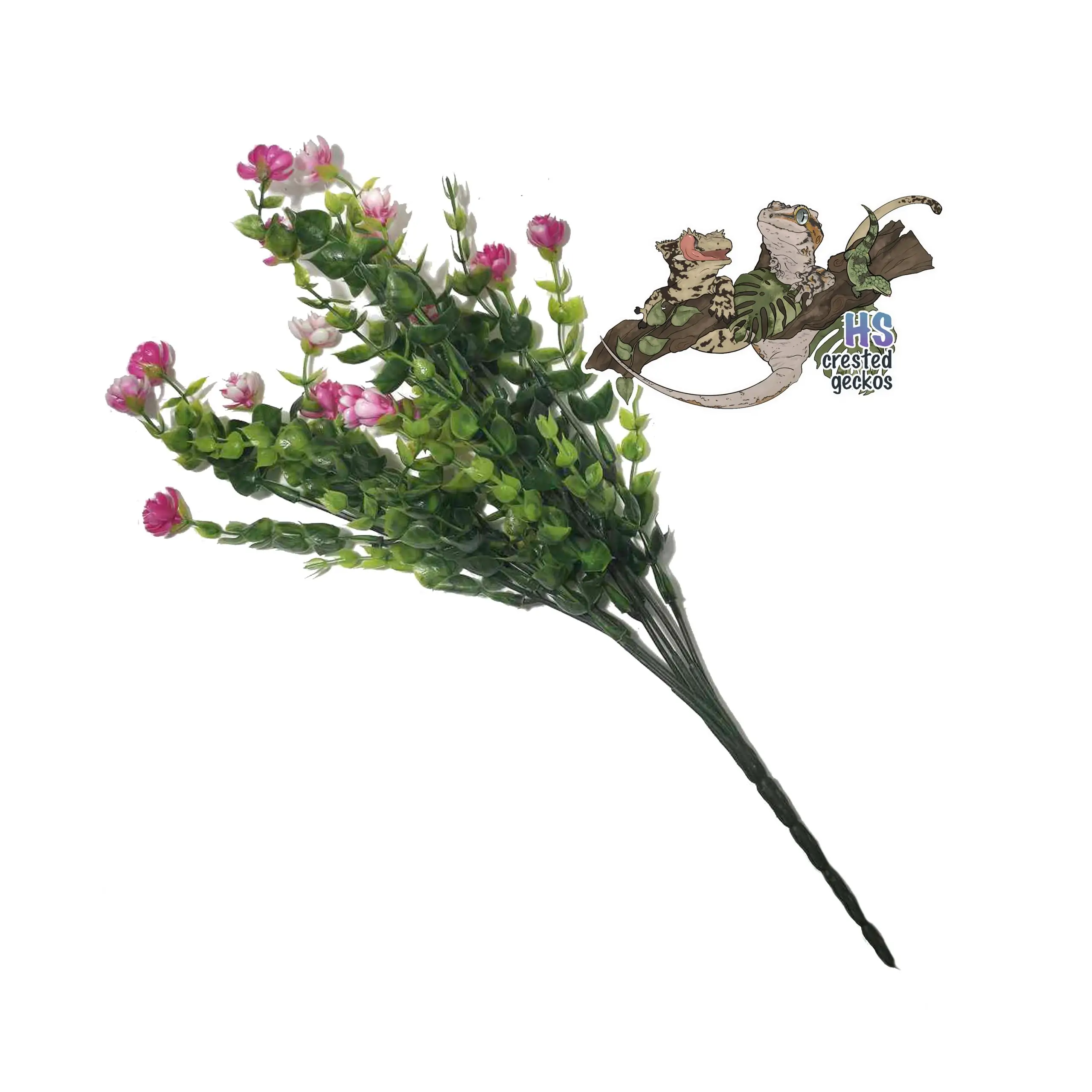 Pretty Plant - Small Eucalyptus - Pink