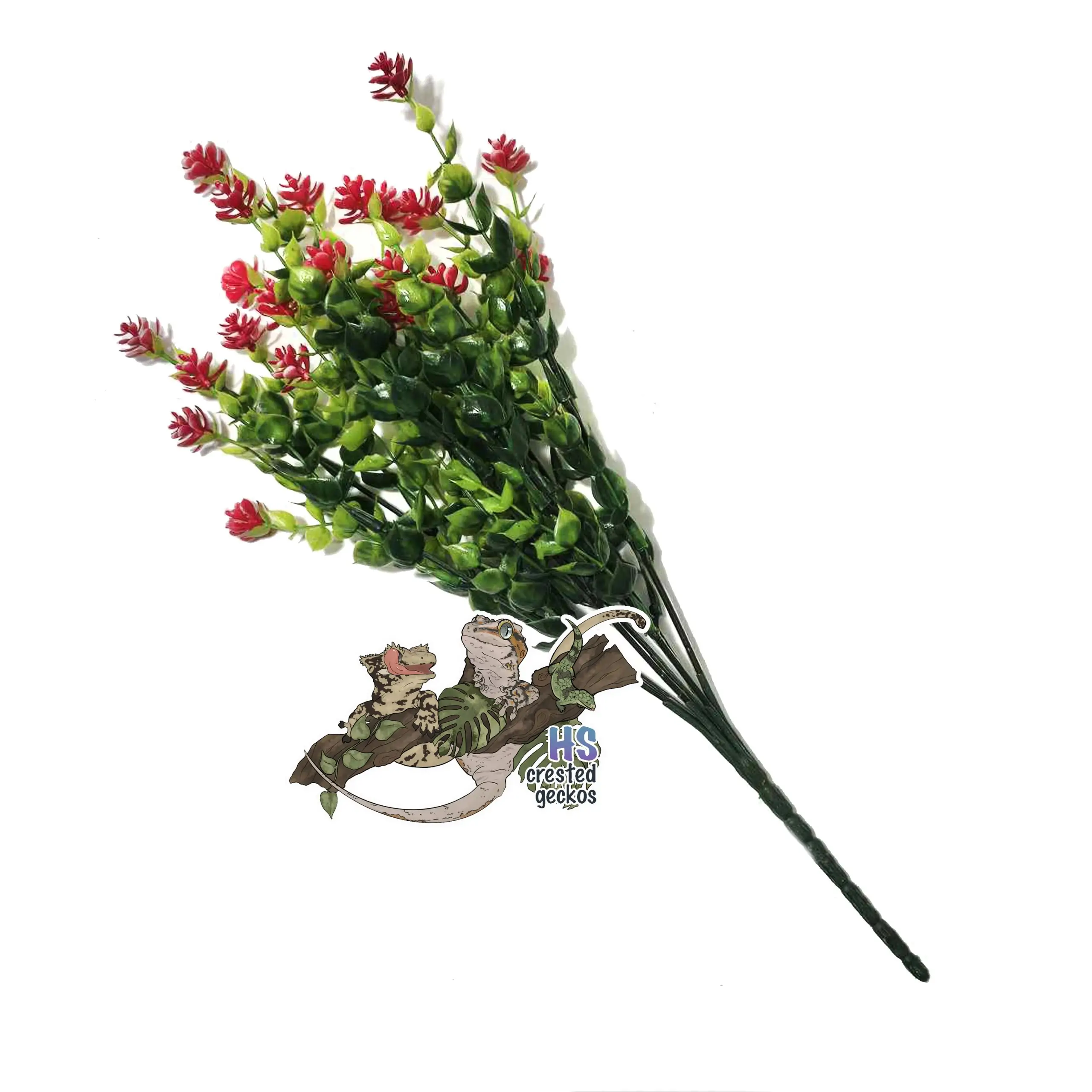 Pretty Plant - Small Eucalyptus - Red w/ White