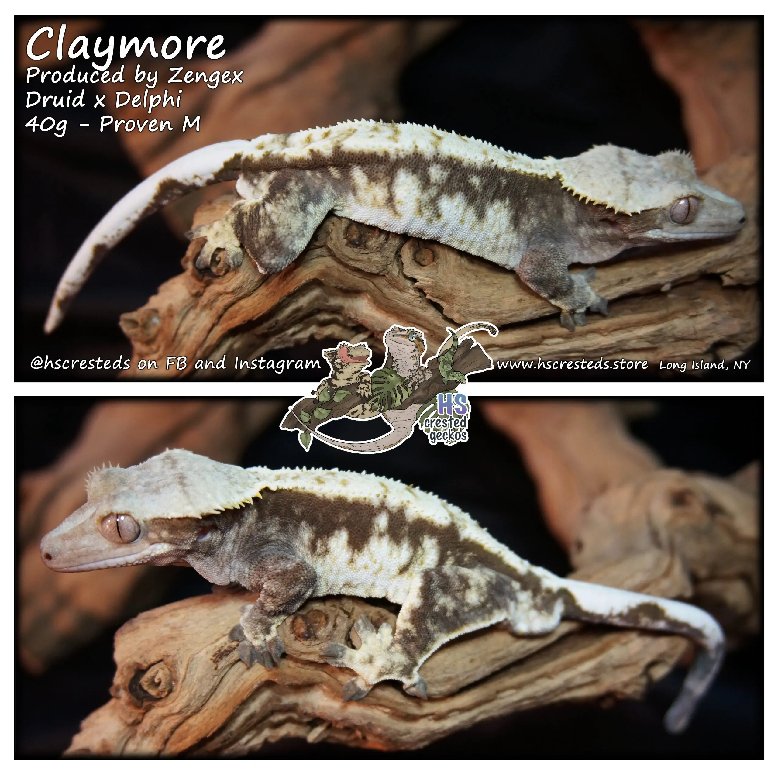 Claymore - Produced by Zengex