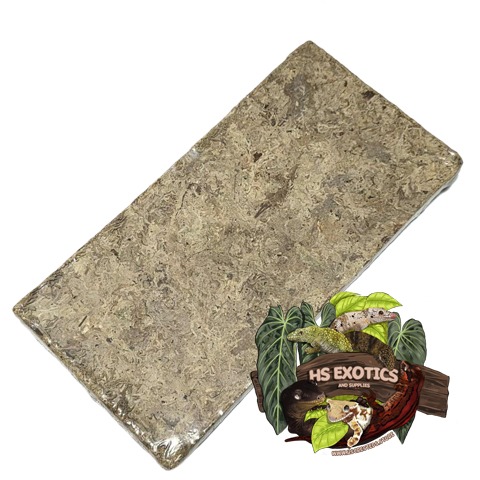 Compressed Sphagnum Moss - Image 2