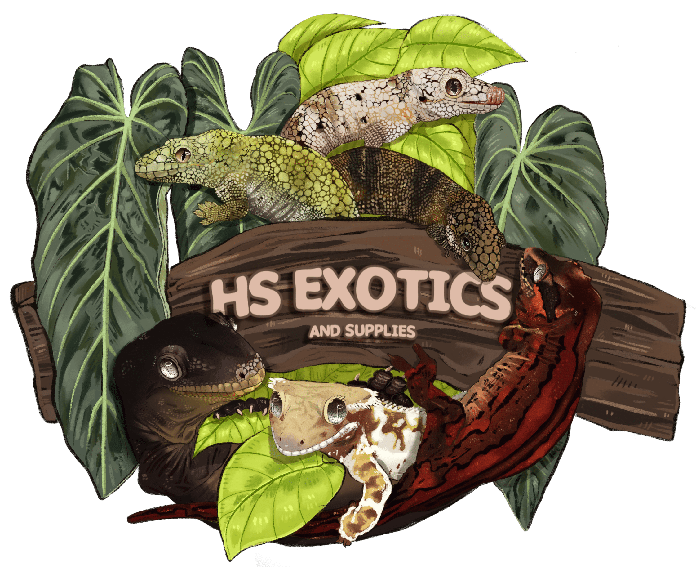 HS Exotics and Supplies